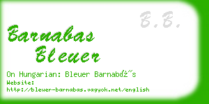 barnabas bleuer business card